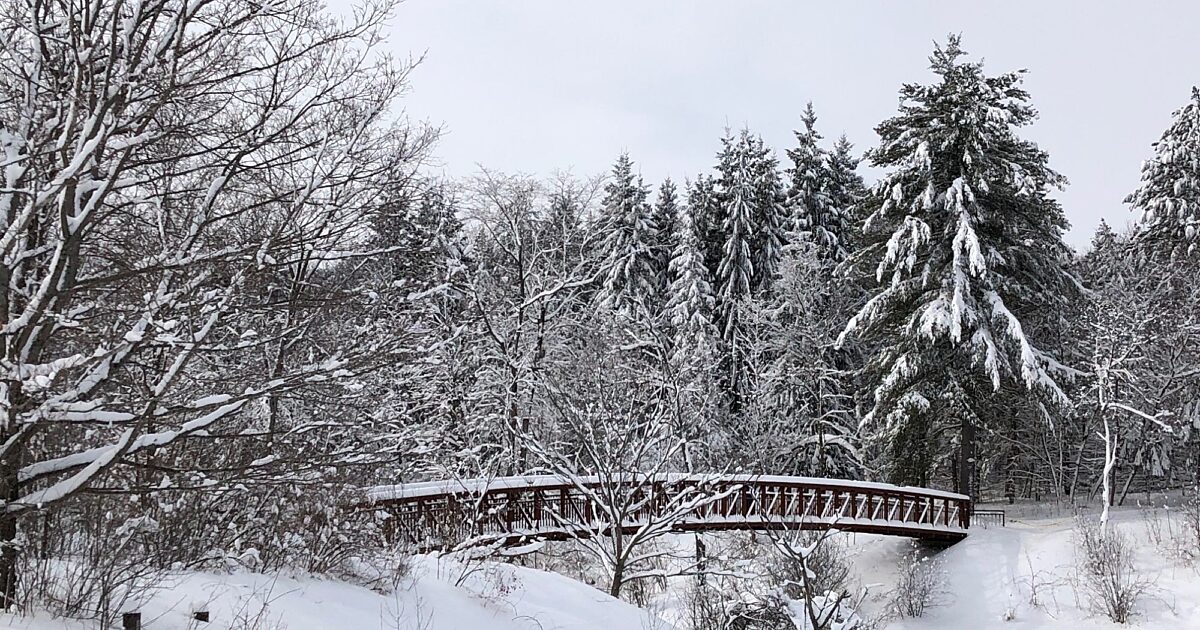 Winter walking and hiking in Gatineau… | National Capital Commission