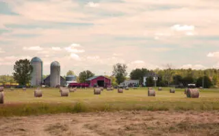 Agri-tours