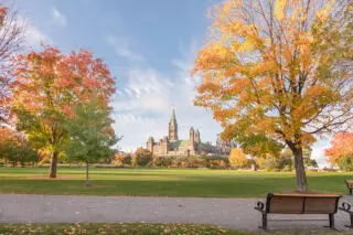 Fall Rhapsody