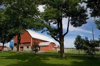Sustainable agriculture and food strategy
