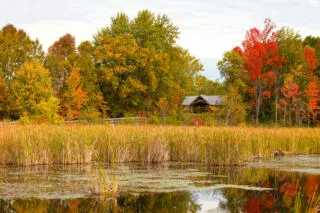 Picnic areas