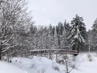 Winter walking and hiking in Gatineau Park