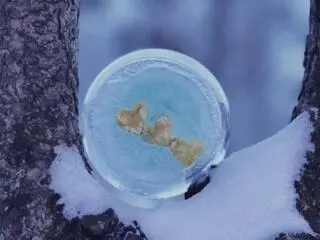 Must-see Features on Ottawa Community-maintained Winter Trails