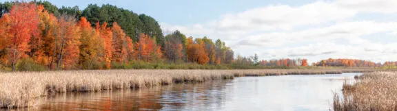 Mer Bleue Fall Pano 1