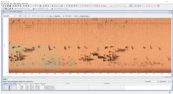 Bird vocalization records as seen in an acoustic transcription software.