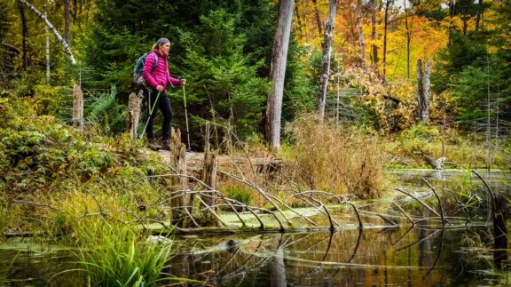 Personne en randonnée dans le parc de la Gatineau.
