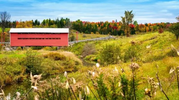 Gatineau Park