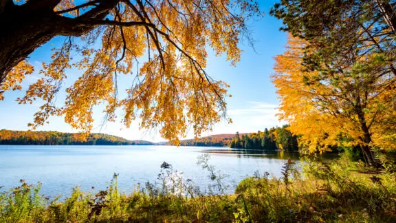 Three tips for taking in the fall colours in Gatineau Park