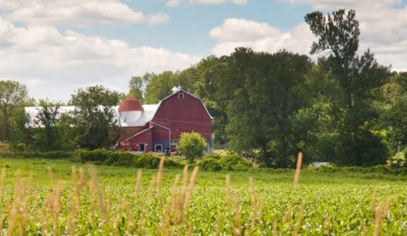 Farms gblt webv2