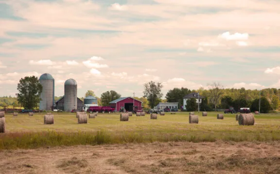 Farms IMG 6804