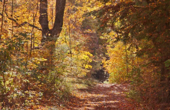 Lauriault Trail