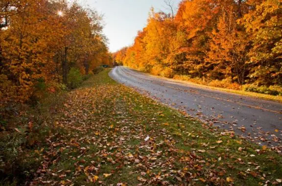 Getting Around on the Gatineau Park Parkways