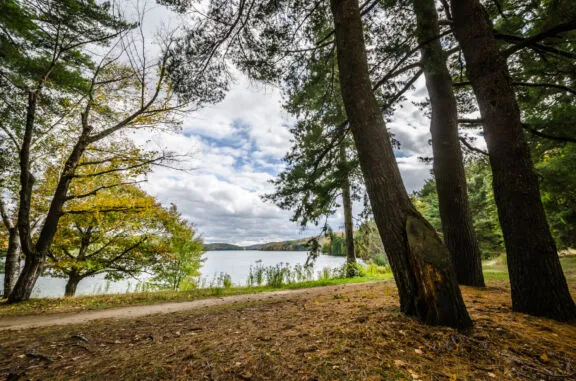 NCC birds of prey fall 2014 58 Lac Philippe