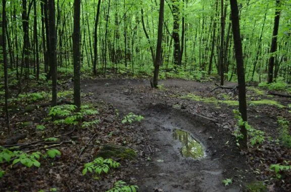 Gestion responsable des sentiers du parc de la Gatineau