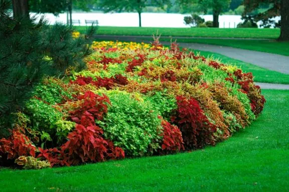Urbanpark Commissioners Flower Garden Hrn 0206