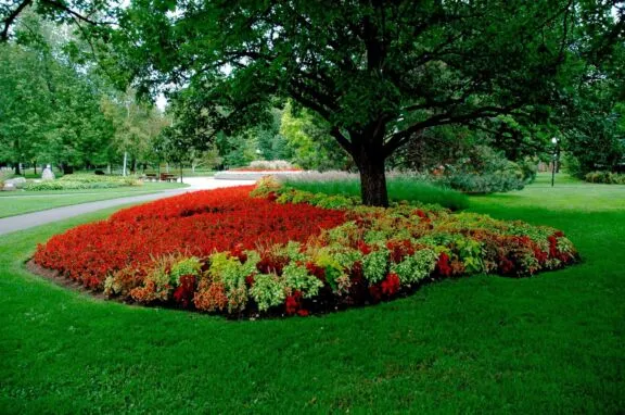 Urbanpark Commissioners Flower Garden Hrn 0213 1
