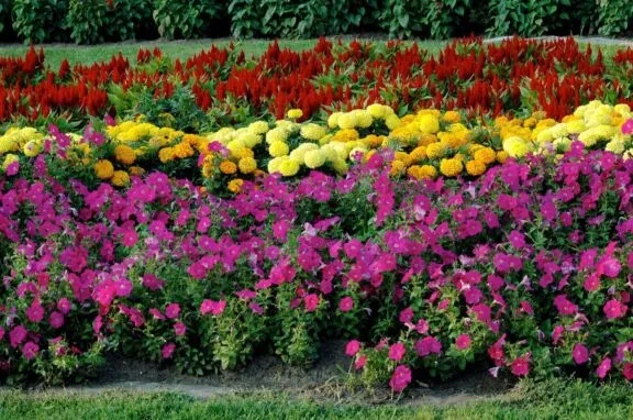 Urbanpark Commissioners Flower Garden Hrn 9397