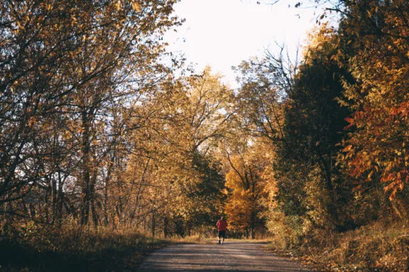 Cross Loop Road