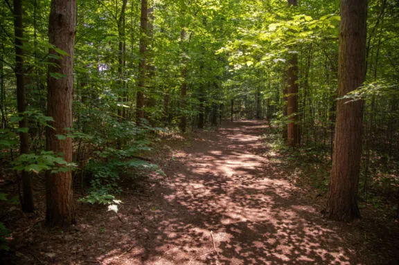 Sentier 31