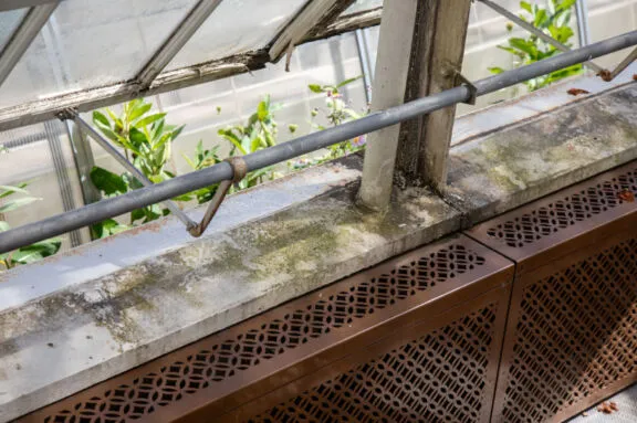 Close-up of greenhouse interior showing a weathered concrete ledge with moss and water stains, metal support rods, and a decorative brown vent cover below.