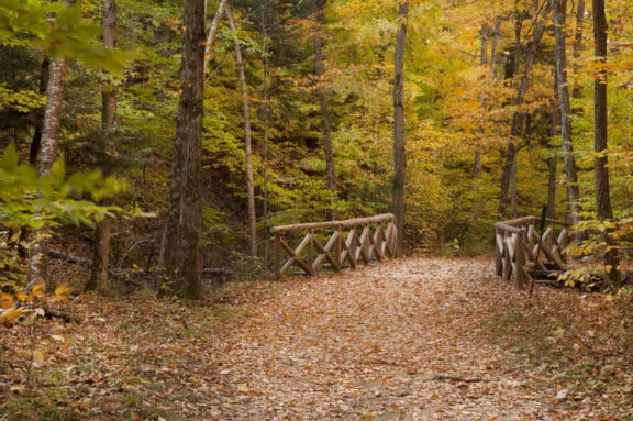 Lauriault Trail