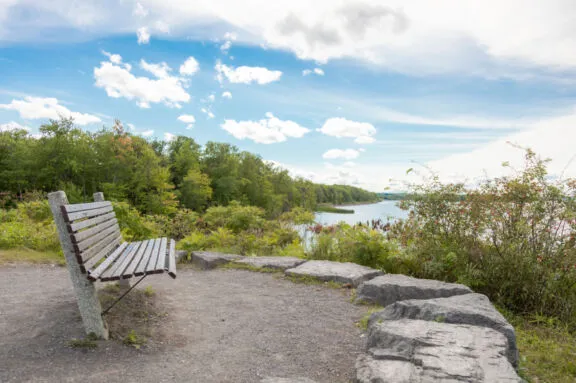 Parc bench 3