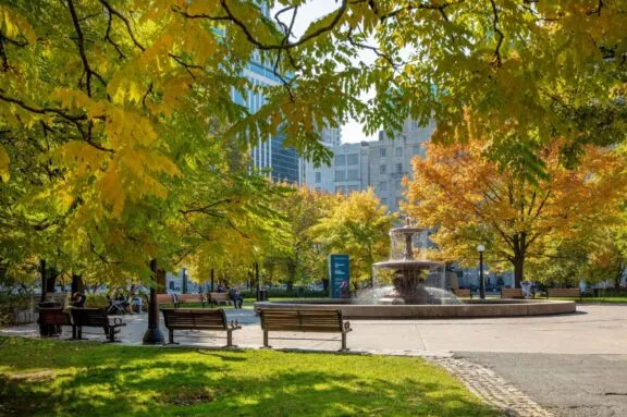 Parc bench 4