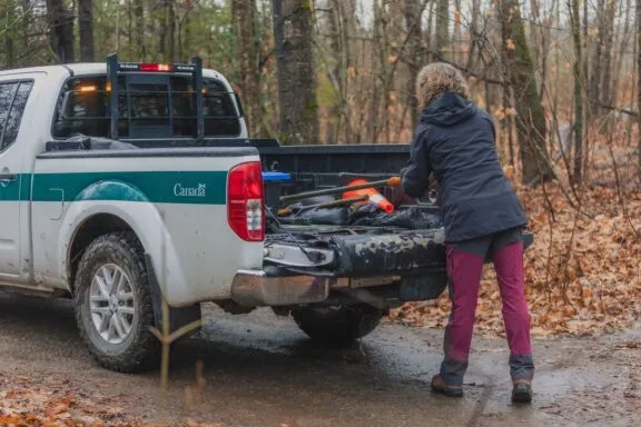 A volunteer at work in the Park