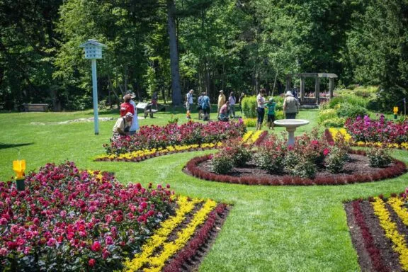 Flowers event MKE3