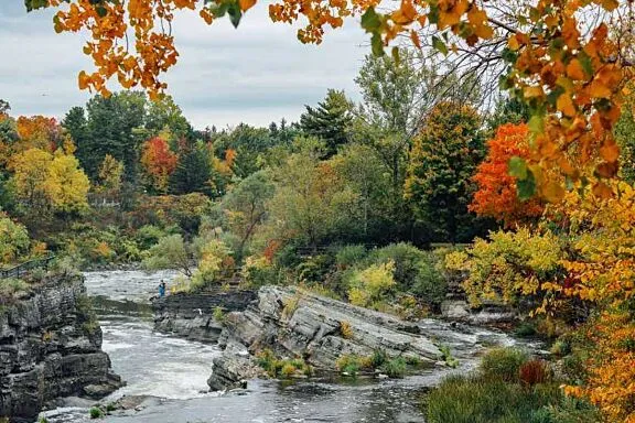 Hog's Back Park.