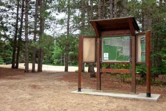 Les dunes de la forêt Pinhey
