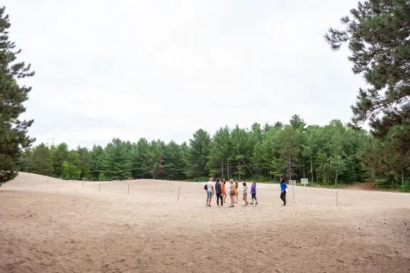 Les dunes de la forêt Pinhey