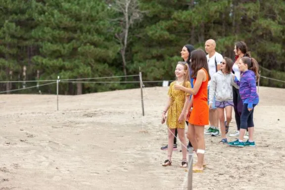 Les dunes de la forêt Pinhey
