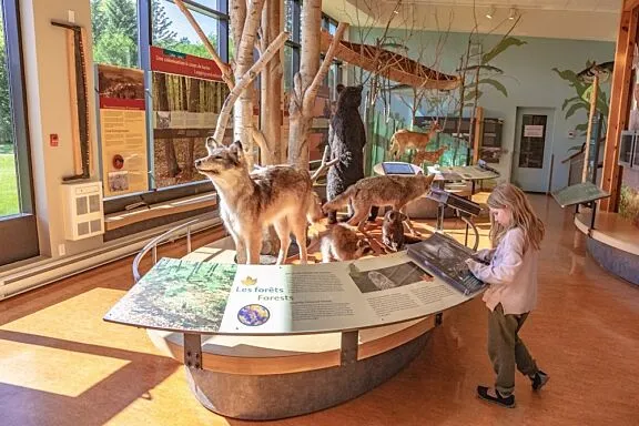 Visitor centre 3