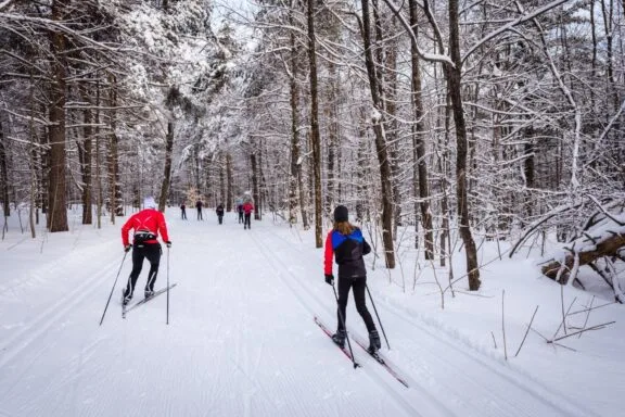 Machinerie de damage des pistes