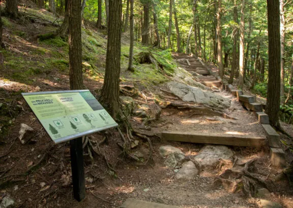Interpretation panel on King Mountain Trail.