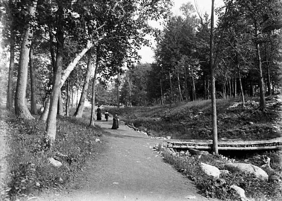 Rockcliffe Park. June 10, 1902. Credit: James Ballantyne / Library and Archives Canada / PA-133417