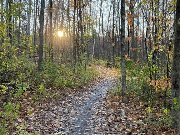 Sentier du parc de la Gatineau pendant l'entre-deux saisons
