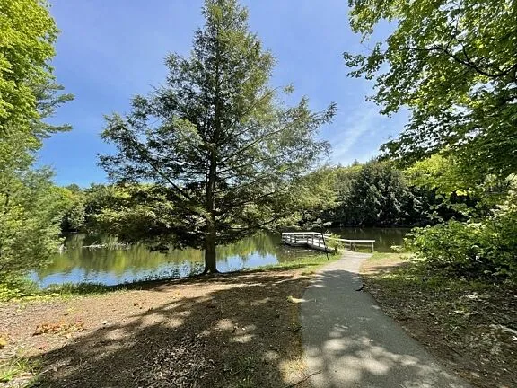 Paved path leading to a dock on Mulhivill Lake.