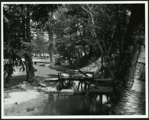 Picnic area at Lac Philippe. June 1965. Credit: Library and Archives Canada / National Capital Commission fonds / e999914322