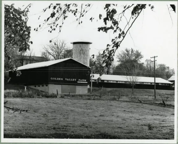 Golden Valley Farm, in the Greenbelt, near Ottawa, Ontario. Circa 1967. Credit: Library and Archives Canada / National Capital Commission fonds / e999914943
