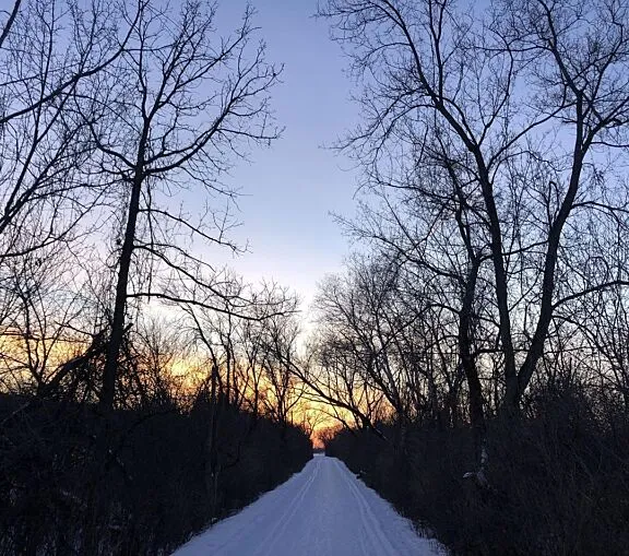 The Ottawa West Winter Trail. Credit: @ottawawestwintertrail