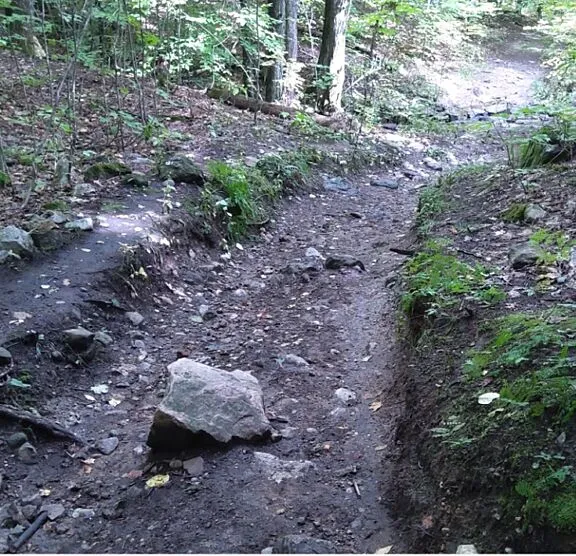 Erosion and trenches on existing Wolf Trail.