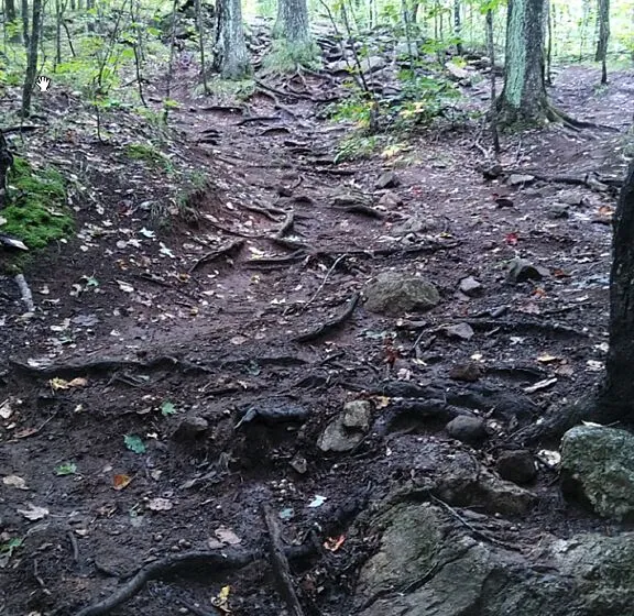 Widened trails on existing Wolf Trail.