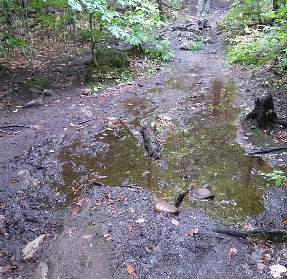 Water pooling and siltation on existing Wolf Trail.