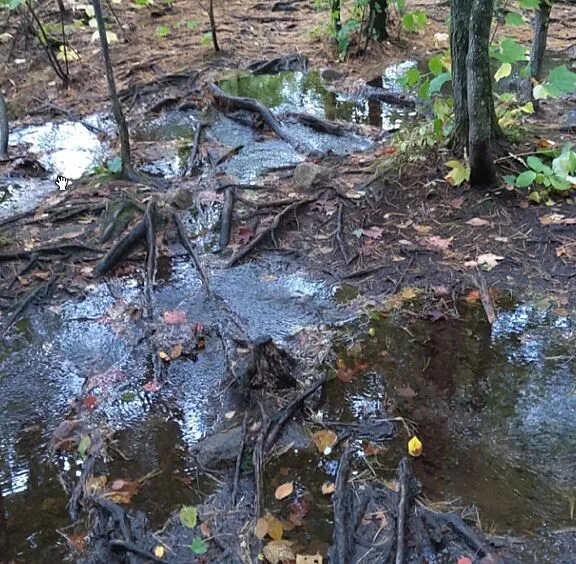 Water accumulation on existing Wolf Trail.