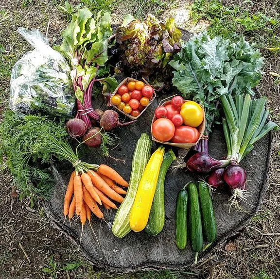 Community supported agriculture (CSA) harvest baskets