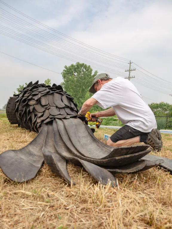 Artist on his knees installing parts on his sculpture, a 16-foot crow made of recycled tires. Back view of the crow lying on the ground.à genoux qui installe des pièces sur sa sculpture, un corbeau en pneus recyclés de 16 pieds. Vue de dos du corbeau étendu au sol.