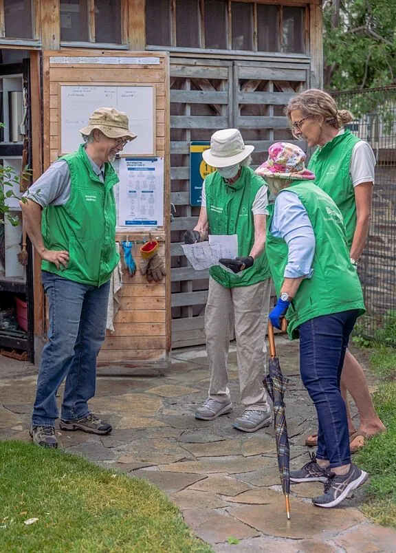 Four NCC volunteers looking at a map