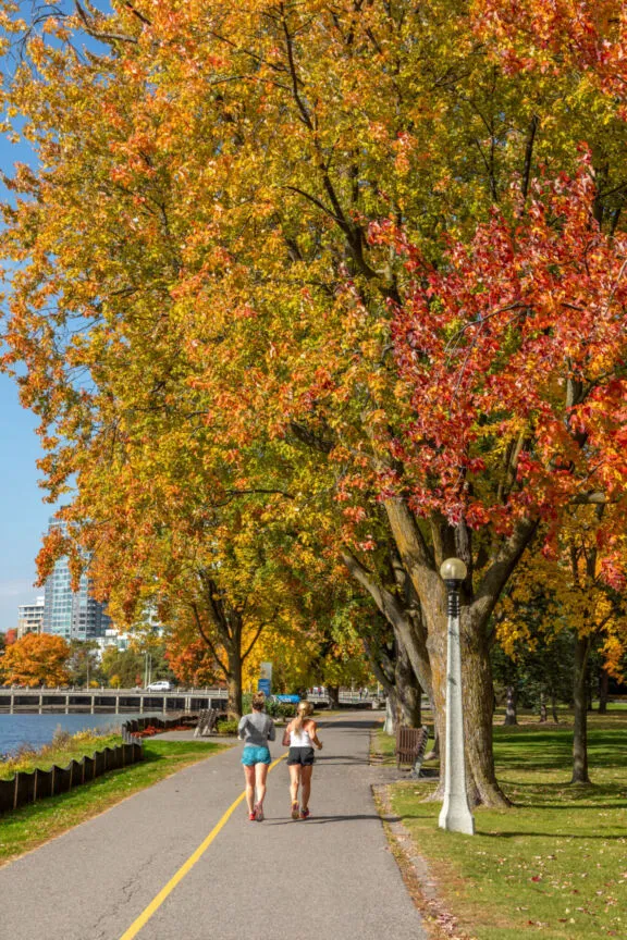 Two people walking in fall on a paved pathway bordered by an urban waterway and mature trees.